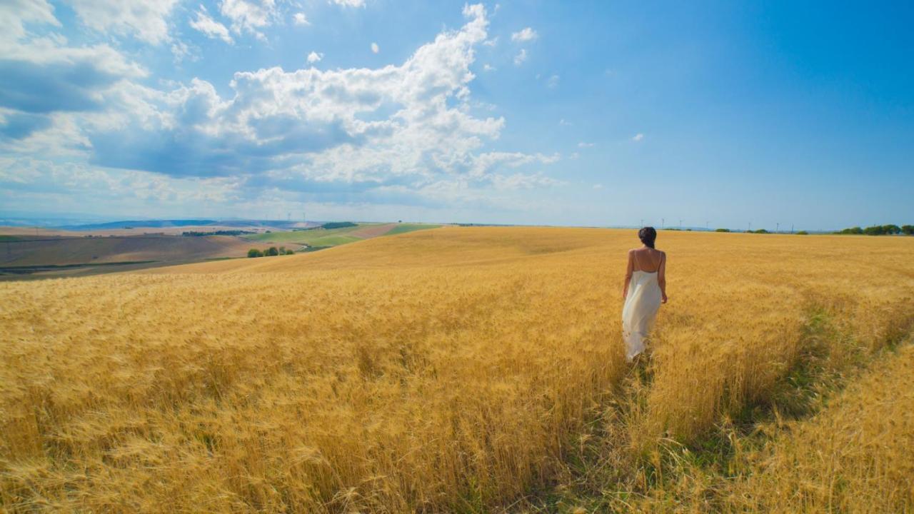 Masseria Fontana Di Vite マテーラ エクステリア 写真